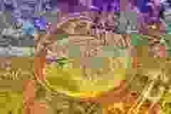 007