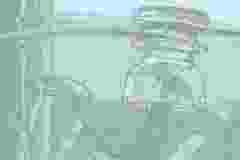 019